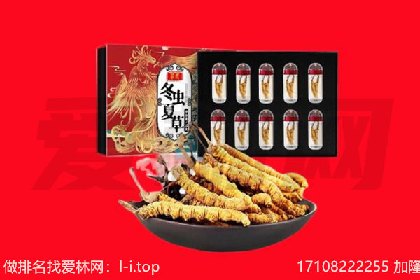 迎泽区回收虫草.jpg